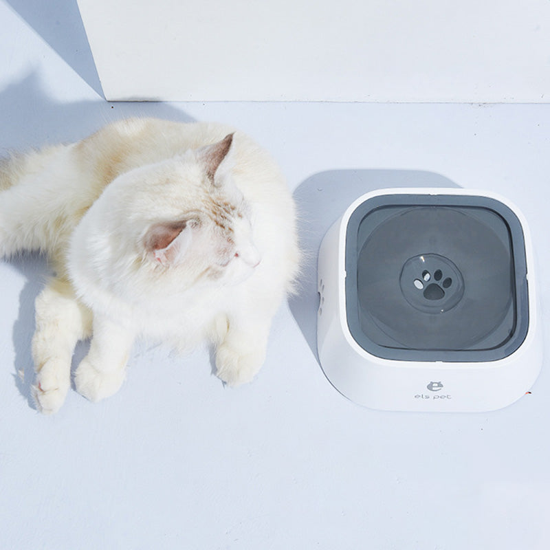 The pet water bowl